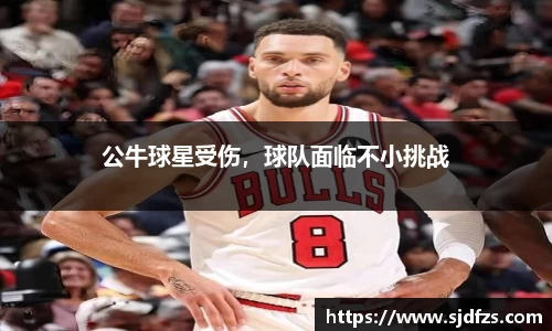DB电竞官网