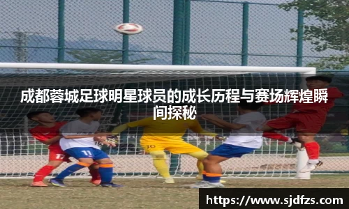 成都蓉城足球明星球员的成长历程与赛场辉煌瞬间探秘